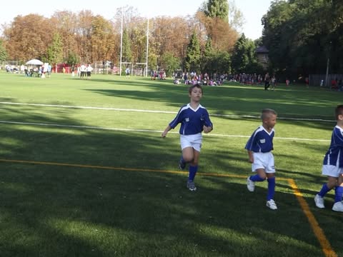 Începutul de la Șoimii.