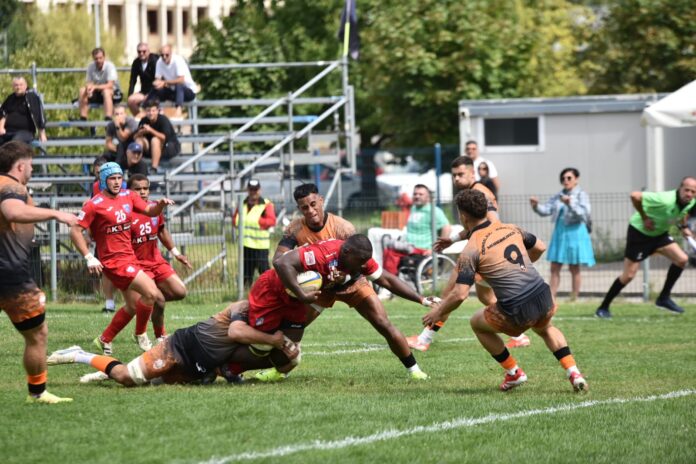 Baia Mare - Steaua/Foto: Ovidiu Dragomir.